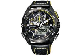 Citizen JW0127-04E PROMASTER Land Eco-Drive Wrist Watch