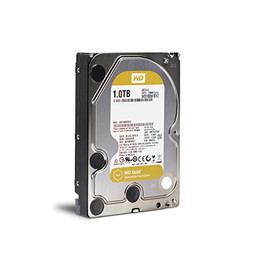 Western Digital WD Gold WD1005FBYZ Nearline HDD 1TB 7200rpm 128MB